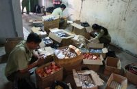 Mỹ phẩm xách tay Nhật Bản giả tràn lan trị trường Việt