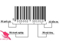 Mã vạch – Cách nhận biết hàng xách tay Nhật Bản thật giả